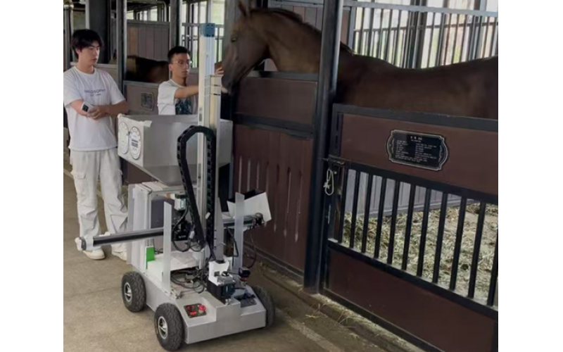 科技领“饲”：马房智能饲喂机器人亮相汗血马基地